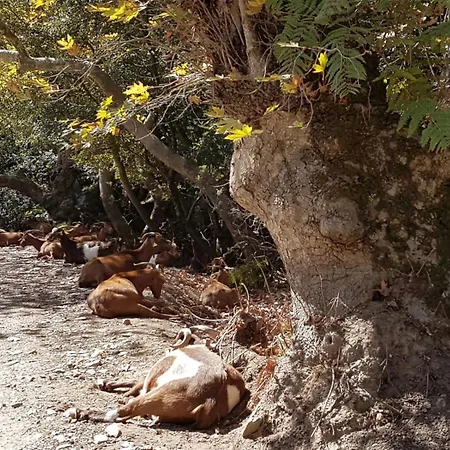 Core Luxury (adults Only) Skiathos-Stadt